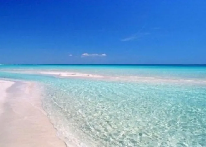 Perla - Costa * 萨尔维