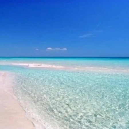 Perla - Costa * 살베